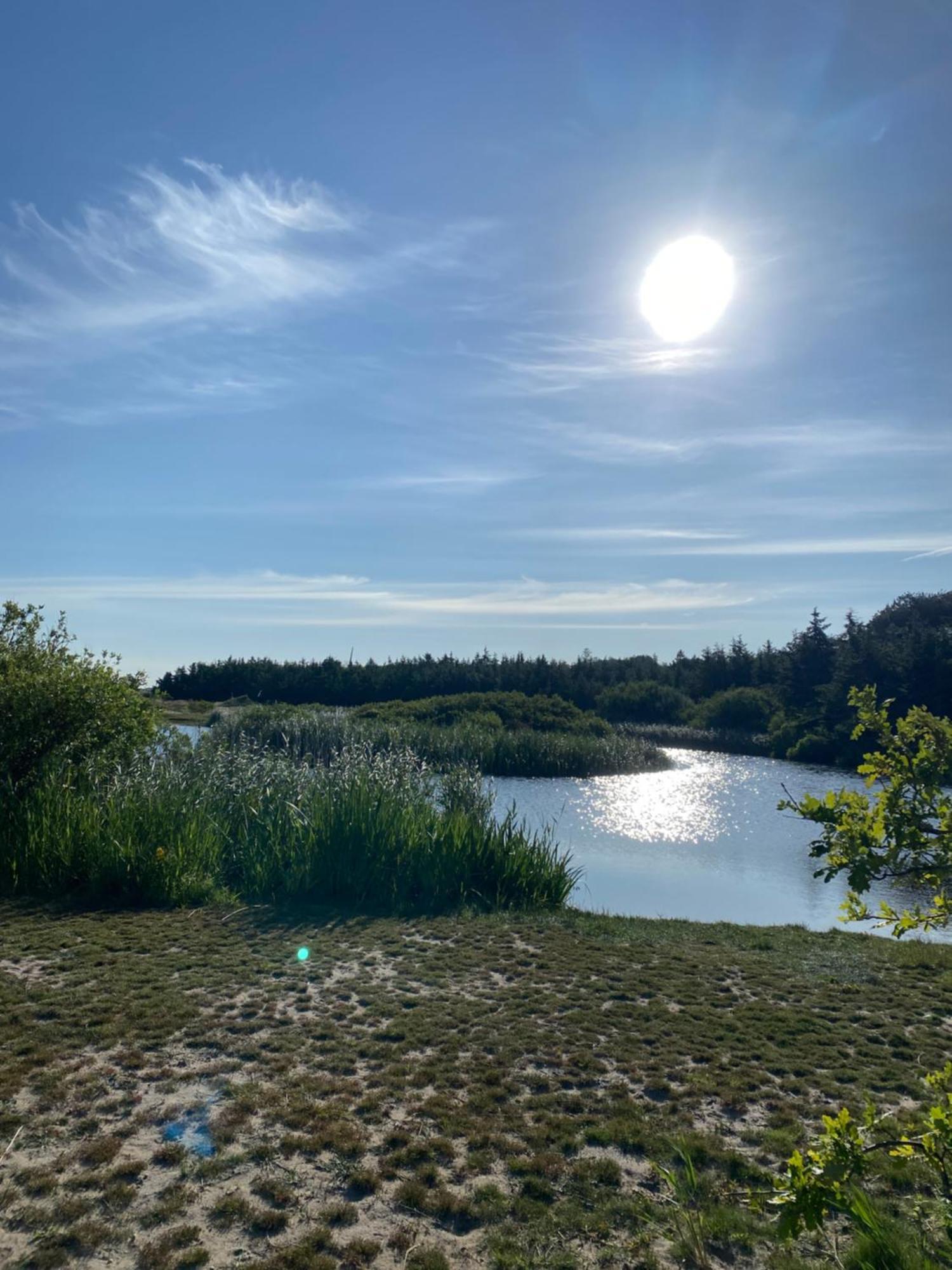 Zijperweg Vakantiehuis Petten Esterno foto